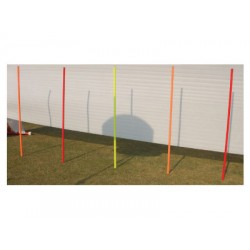 STAG Slalom Pole Elementary (Set of 6)